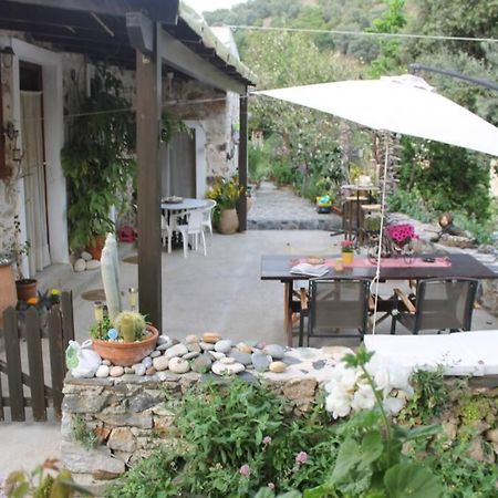 Olga'S Traditional Stone House, Palaiochora Kondokinigi 外观 照片