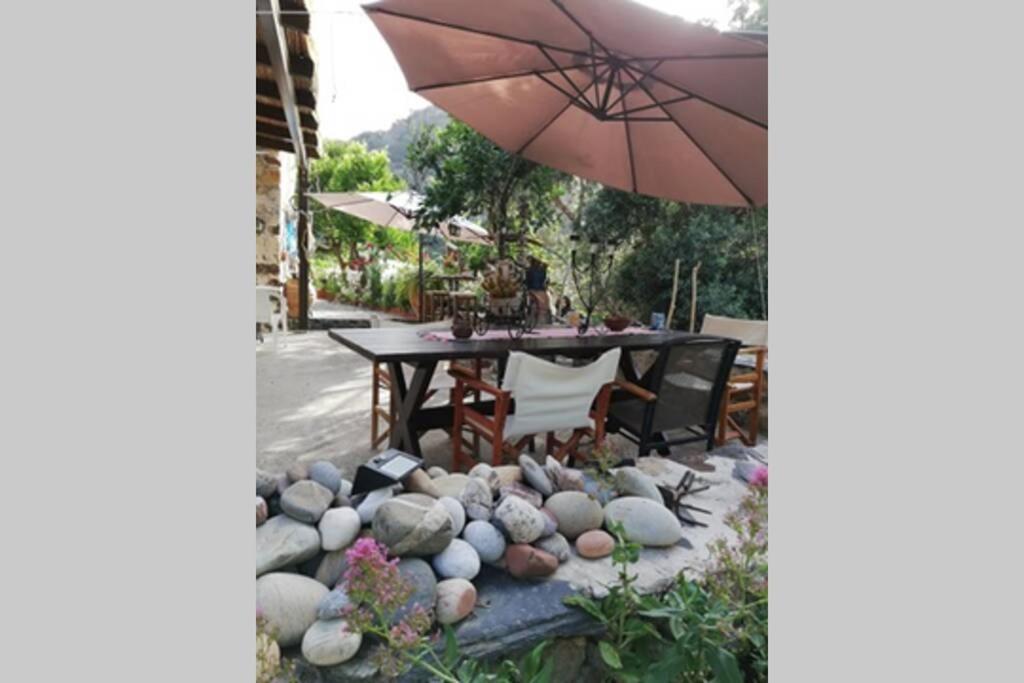 Olga'S Traditional Stone House, Palaiochora Kondokinigi 外观 照片